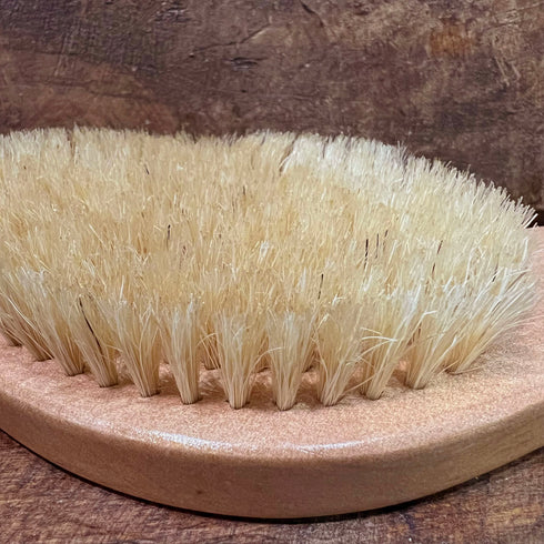 Dry Brush Close-Up